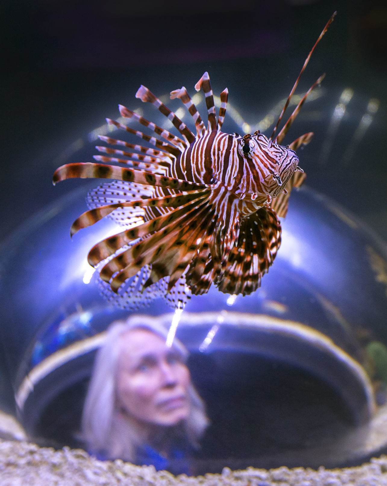 Science Center aquarium preview